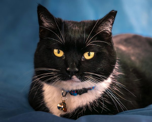 What measures is the UK implementing to combat cyber threats?